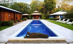 Blue-Osa_Primary_wide