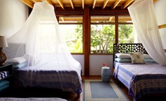 Blue-Osa_Secondary3_wide